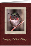 Hummingbird, Happy Father’s Day! card