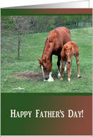 Horses, Young and Old, Father’s day card