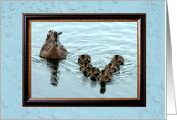Duck Formation, Father’s day card