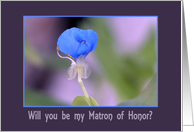 Will you be my Matron of Honor?, Blue Iris card