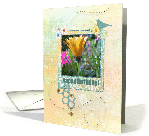 Gerber Daisey with the Birds & the Bees, Birthday card (196551)