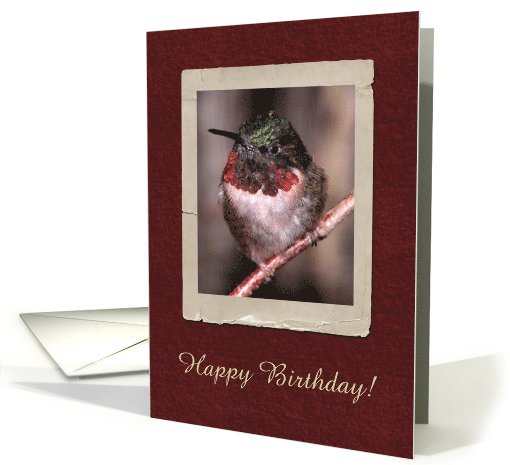 Hummingbird, Birthday card (196593)