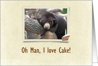 Black Bear, Birthday...
