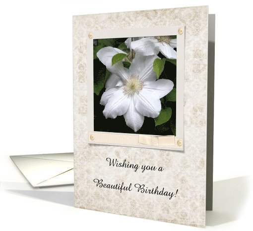 White Clematis in Frame on Vintage Flower Print, Birthday... (196729)