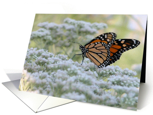 Dancing on Flowers!/Birthday card (196795)