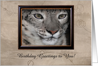 Snow Leopard, Birthday, Tan Circle Design, Custom Text card