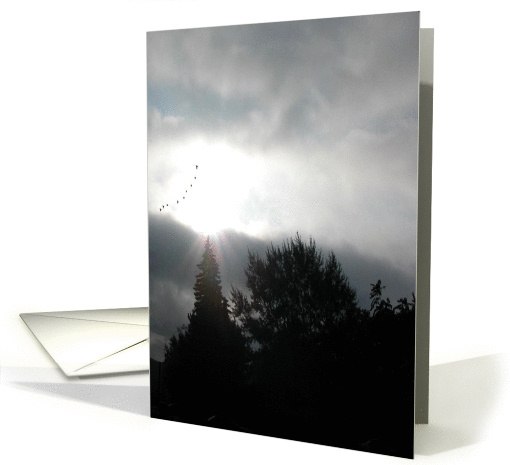 Above the Trees!/Birthday card (198277)