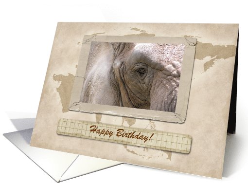 Kind Giant Elephant, Happy Birthday, Custom Text card (198862)