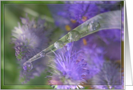 Nature’s Wonders!/Birthday card