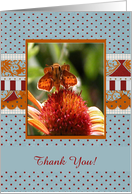 Little Moth, Thank You! card
