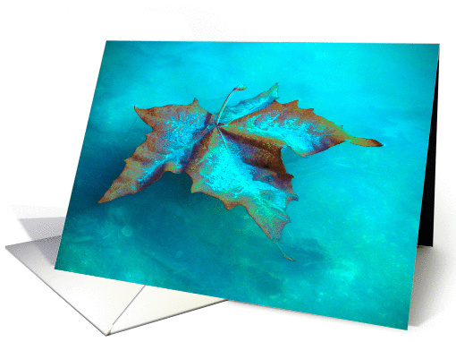 Beautiful Aqua Maple Leaf Floating the Lake, Thank You! card (200256)