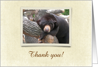 Black Bear on Cream Barlap Look Frame, Thank You, Custom Text card