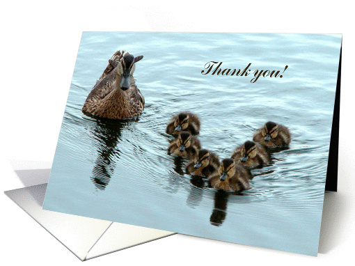 Thank you, Duck Formation card (204708)