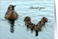 Thank you, Duck Formation card