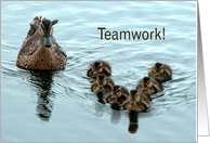 Teamwork, Duck Formation! card