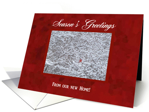 Cardinal in the Snow, Season's Greetings from our new home card