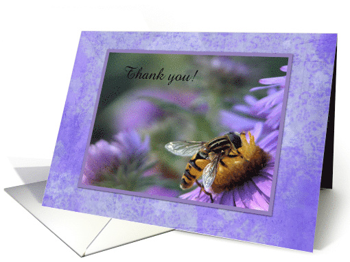 Bee on Purple New England Aster Flowers Thank you, Custom Text card
