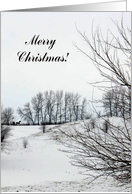 Winter Day, Merry Christmas card