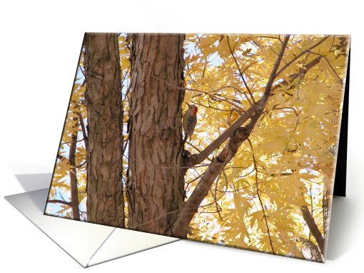 Red Headed Woodpecker,  Birthday card (212320)