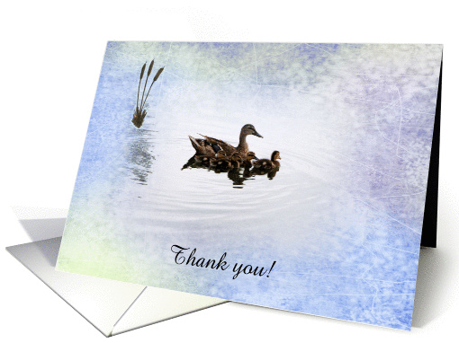 Duck Family, Thank you, Custom Text card (213789)