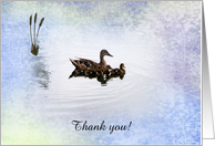 Duck Family, Thank you, Custom Text card