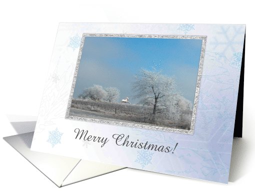 It Snowed Today, Christmas Unicorn, Custom Text card (214005)