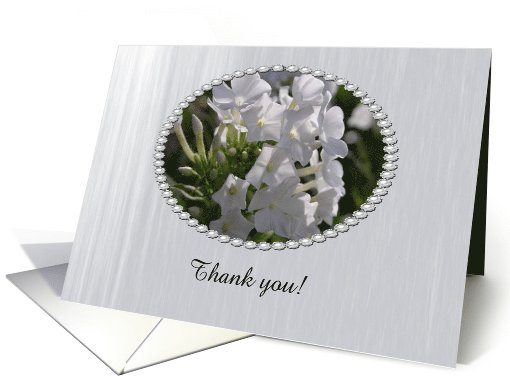 White Phlox Flowers, Thank you, Custom Text card (215425)