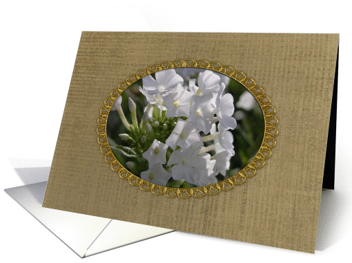 White Phlox in Gold Frame on Brown Textured, Remembrance... (215461)