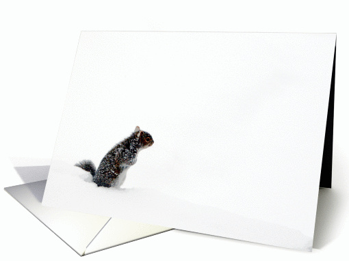 Squirrel in the Snow, Birthday card (220960)