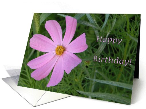 Pink Petals/Birthday card (233560)