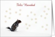 Squirrel in the Snow with Snowflakes, Feliz Navidad, Custom Text card