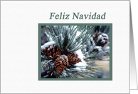 Pinecones after the snow, Feliz Navidad card