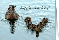 Duck Formation, Happy Grandparents Day! card