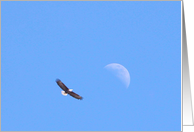 To the Moon, Grandparents Day card