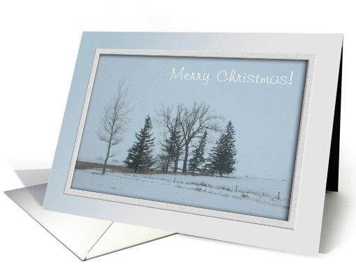 Trees and Snow, Merry Christmas! card (246765)