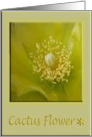 Cactus Flower/Birthday card