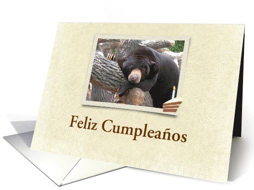 el oso, Black Bear, Feliz Cumpleaos card (249606)