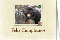 el oso, Black Bear, Feliz Cumpleaos card