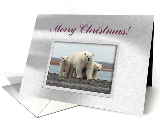 Invitation, Polar Bear Family, Merry Christmas card (254049)