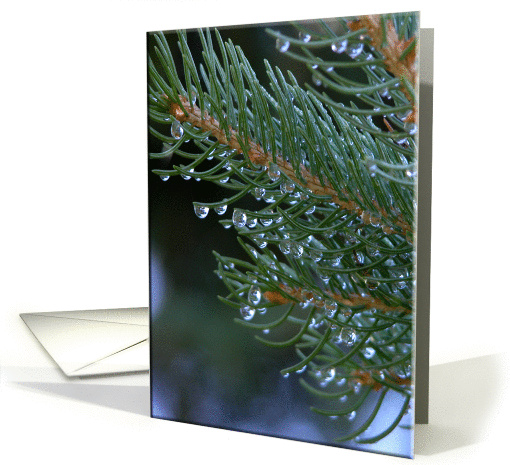 Raindrops card (254771)