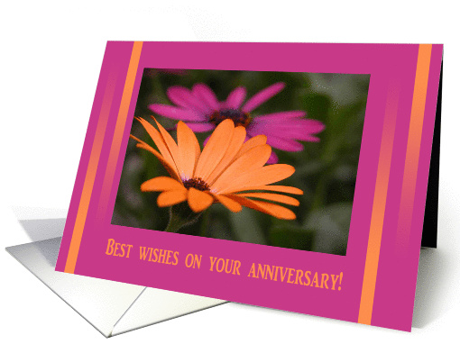 Gerber Daisies, Best wishes on your anniversary! card (260166)