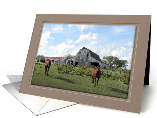 Friendly Welcome, Anniversary! card (260418)