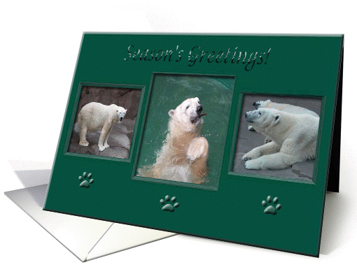 Polar Bears, Season's Greetings card (287505)