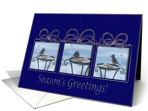 Three Bluejays/Season's Greetings! card (295436)