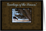 In the Forest, Greetings of the Season card