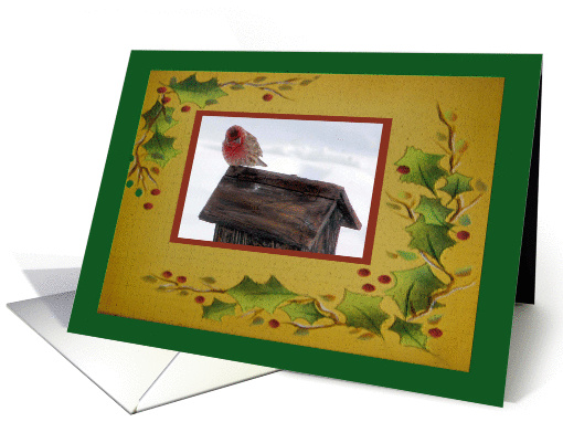 Little Finch on the Rooftop, Holly Leaf Frame card (310502)