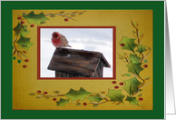 Little Finch on the Rooftop, Holly Leaf Frame card
