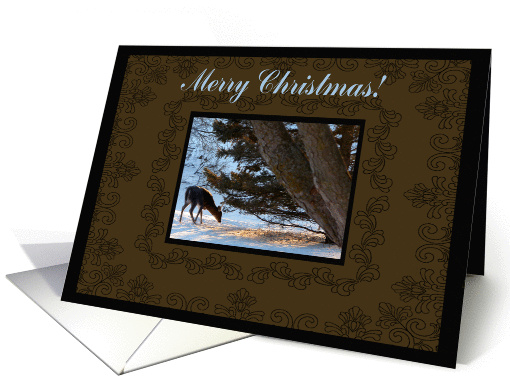 Oh Deer Merry Christmas card (310516)