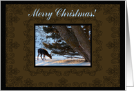 Oh Deer Merry Christmas card