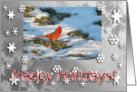 Cardinal in the snow, Grandma card